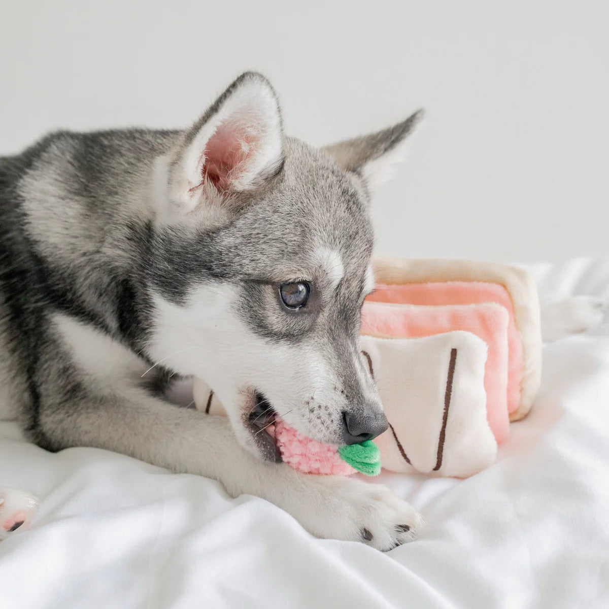 Strawberry Mille-Feuille Nosework Toy