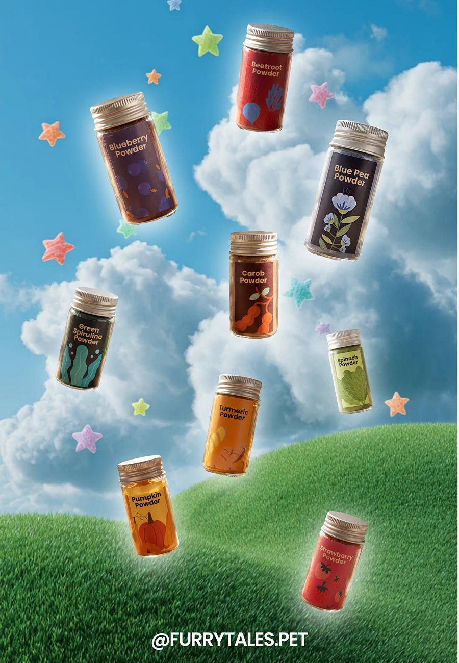 Coloring kit - 9 natural powders (Pre-order)