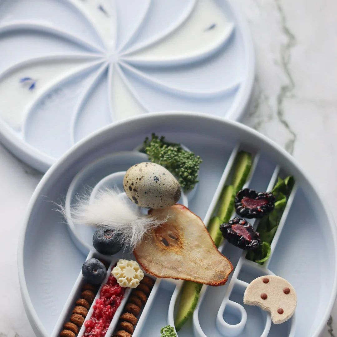 （預購）Zoomies慢食碗 | 藍莓