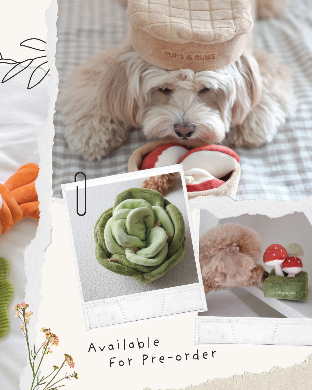 Pups & Bubs禮品盲盒（預購）