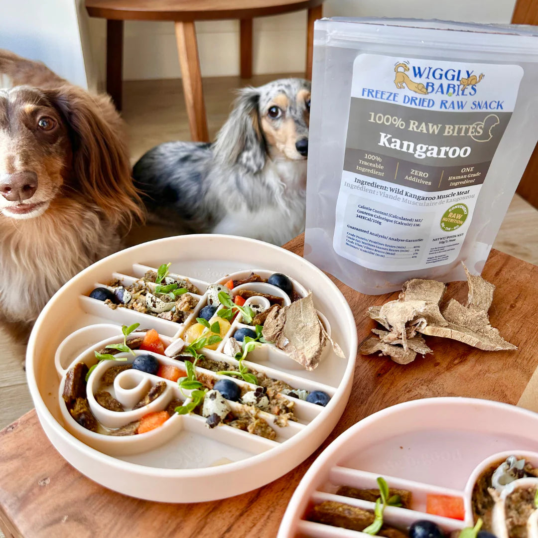 （預購）Zoomies慢食碗 | 燕麥