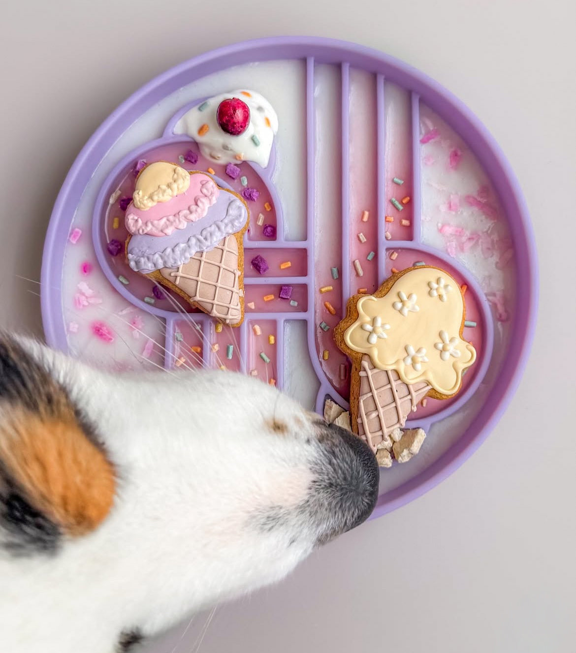 (Pre-order) Zoomies slow feeder bowl | Fig