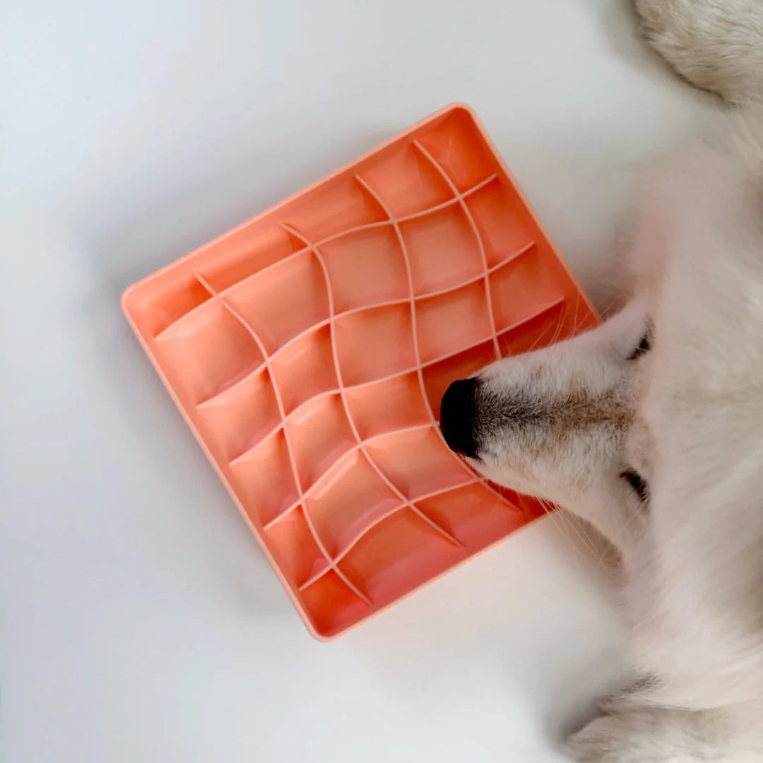 （預購）波浪慢食碗 | 鮭魚