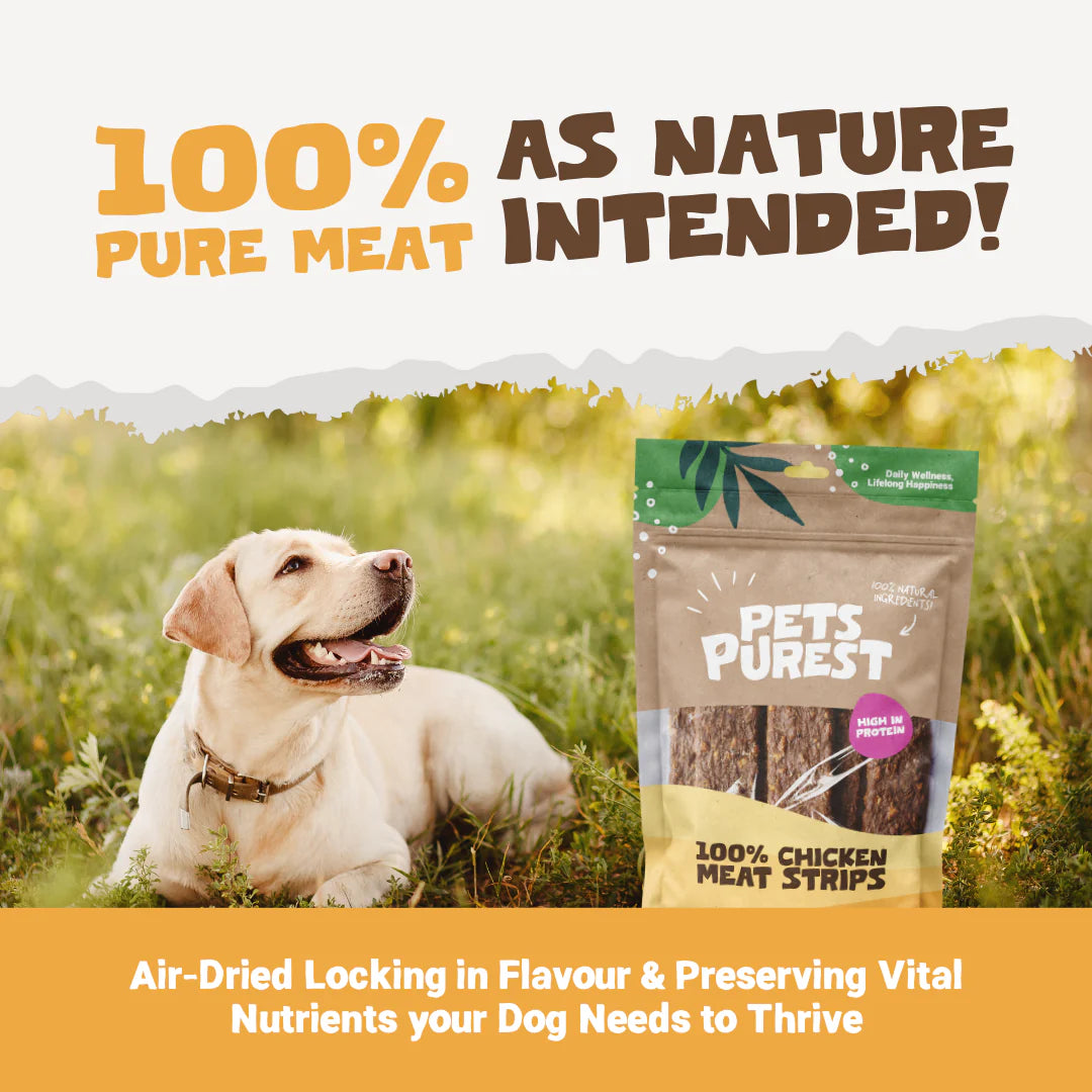 100% Natural Chicken Meat Strips 100g