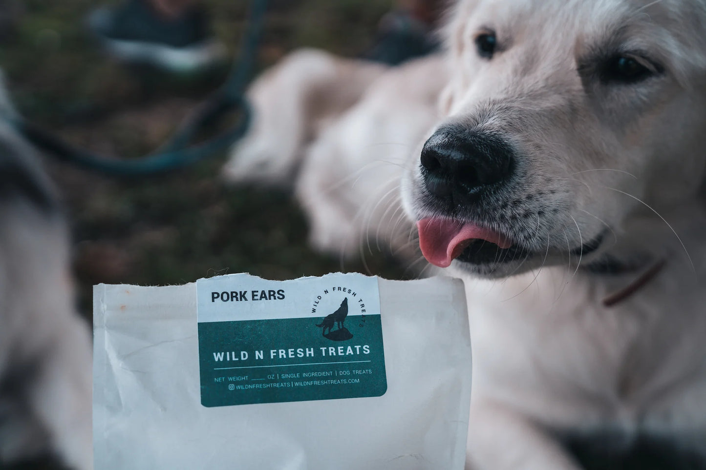 美國風乾豬耳3/6隻（預購）