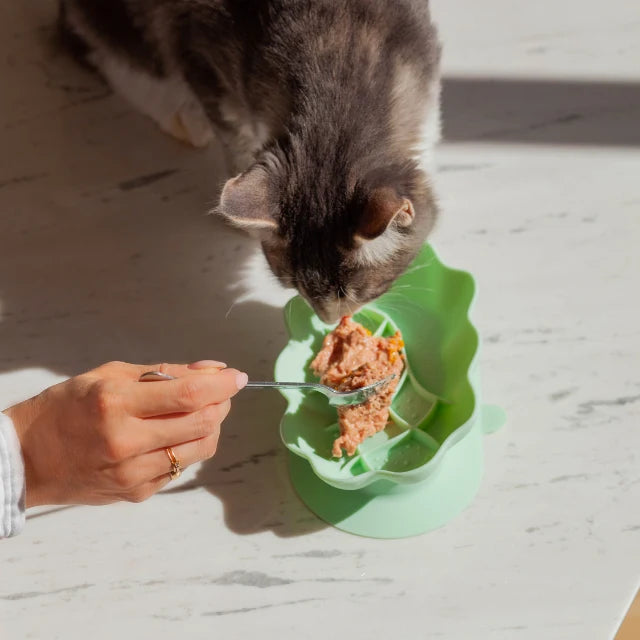 Whiskies cat bowl | cucumber melon