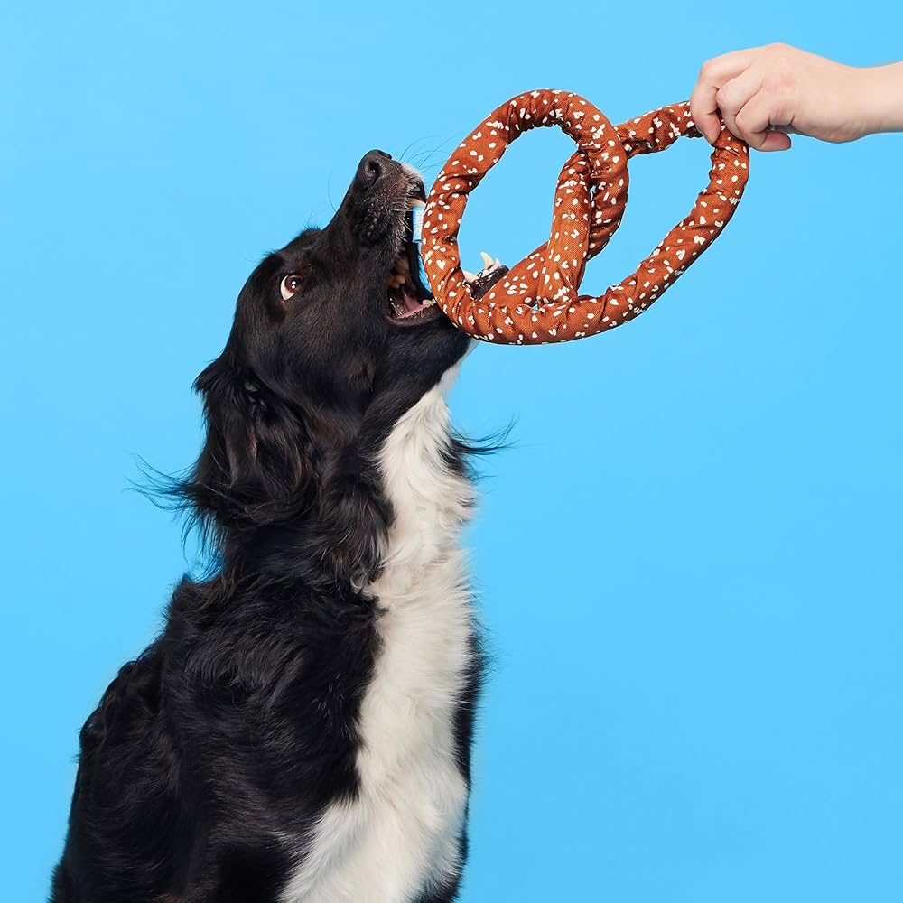 Barkbox Paula's Park Slope Pretzel Dog Toy