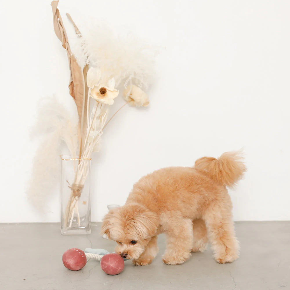 櫻桃繩編毛絨玩具（預購）