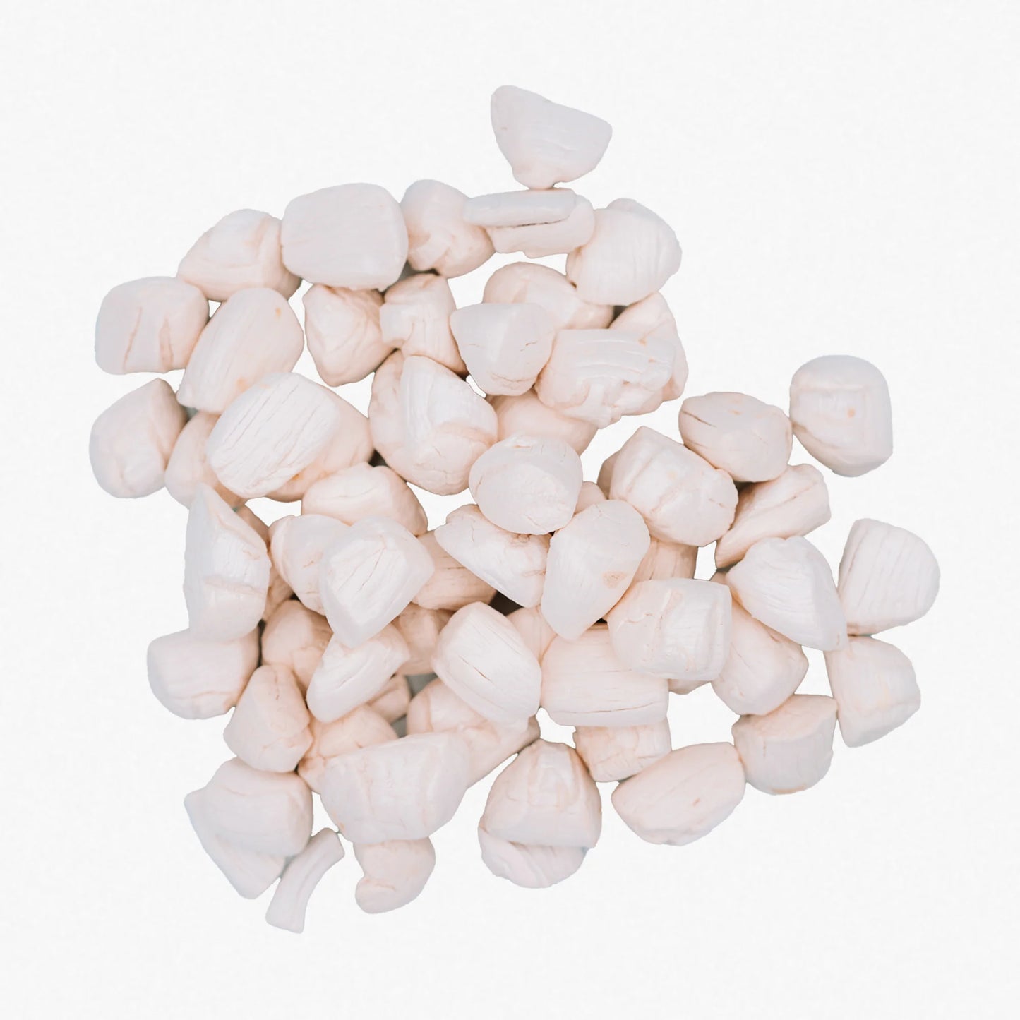 美國凍乾扇貝 1.5oz（預購）