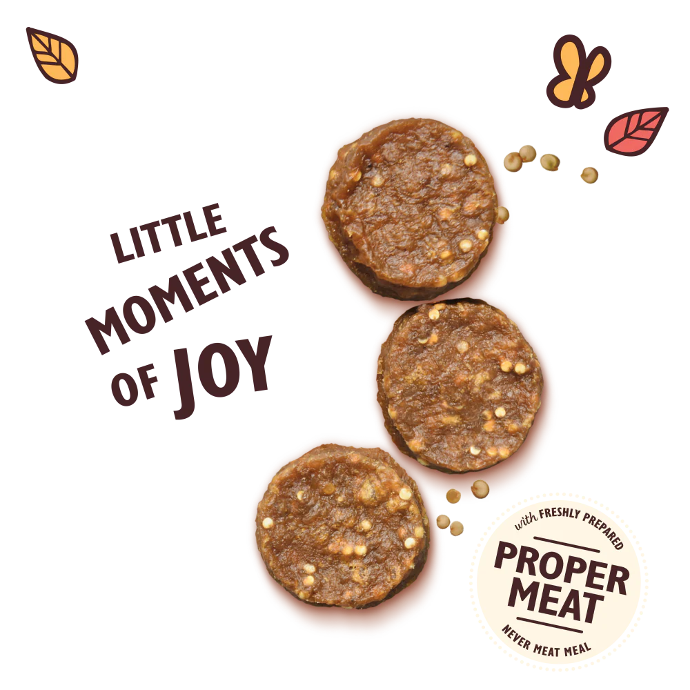 英國Lily’s Kitchen雞肉狗狗零食(含內臟)70g